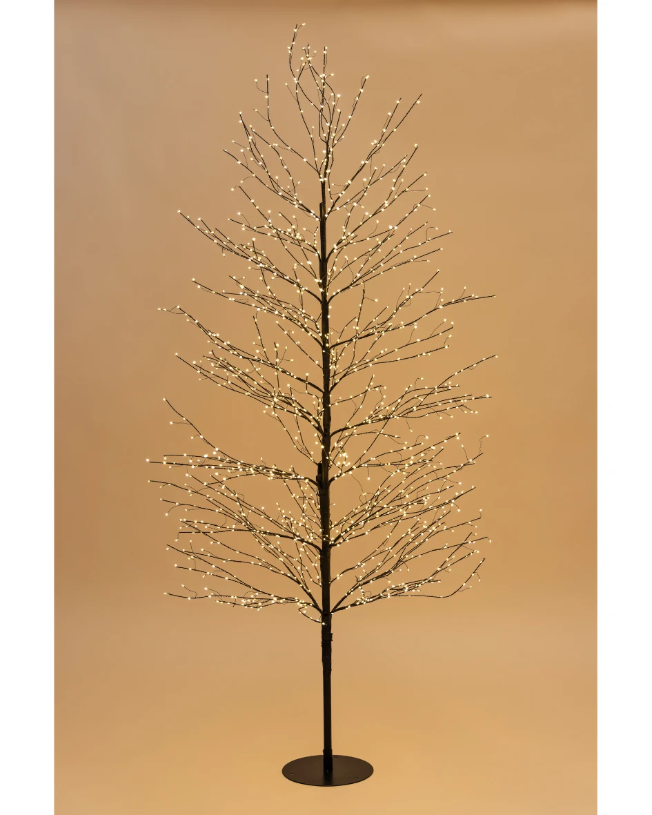 180cm Willow Tree Black