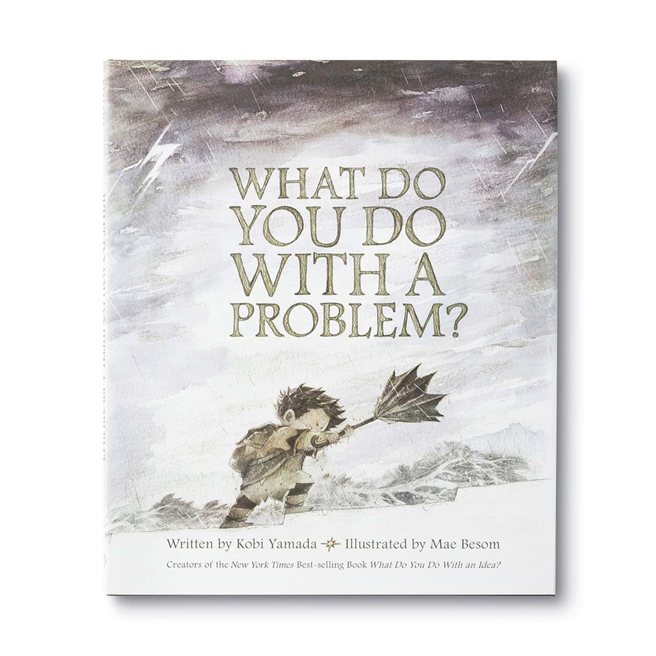 What do you do with a problem?