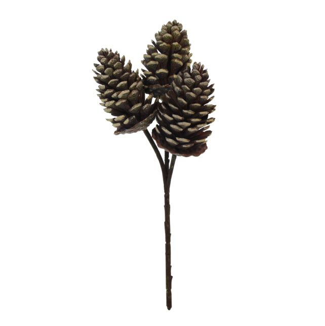 Pinecone Pick