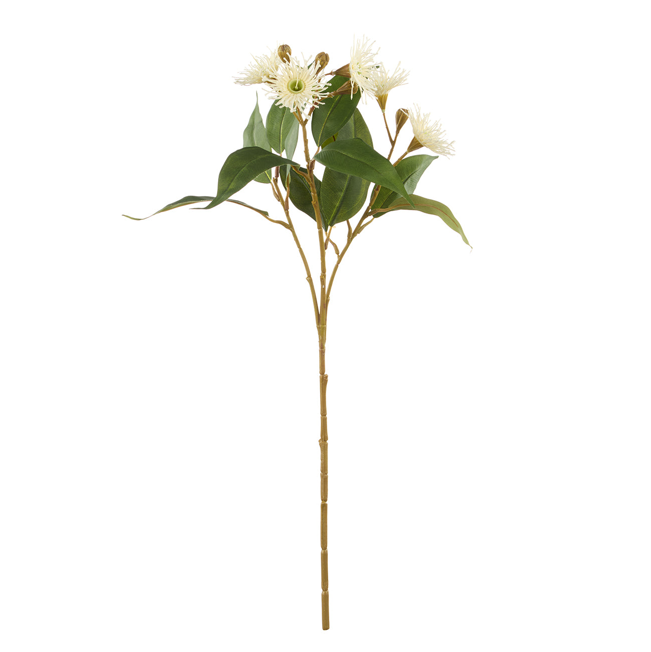 Eucalyptus Flower Spray White