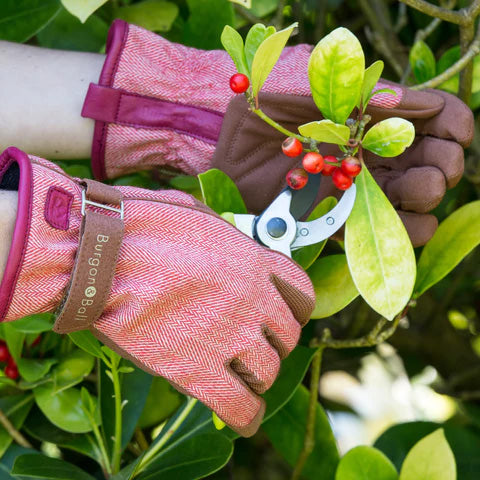 Love the Glove Red Tweed