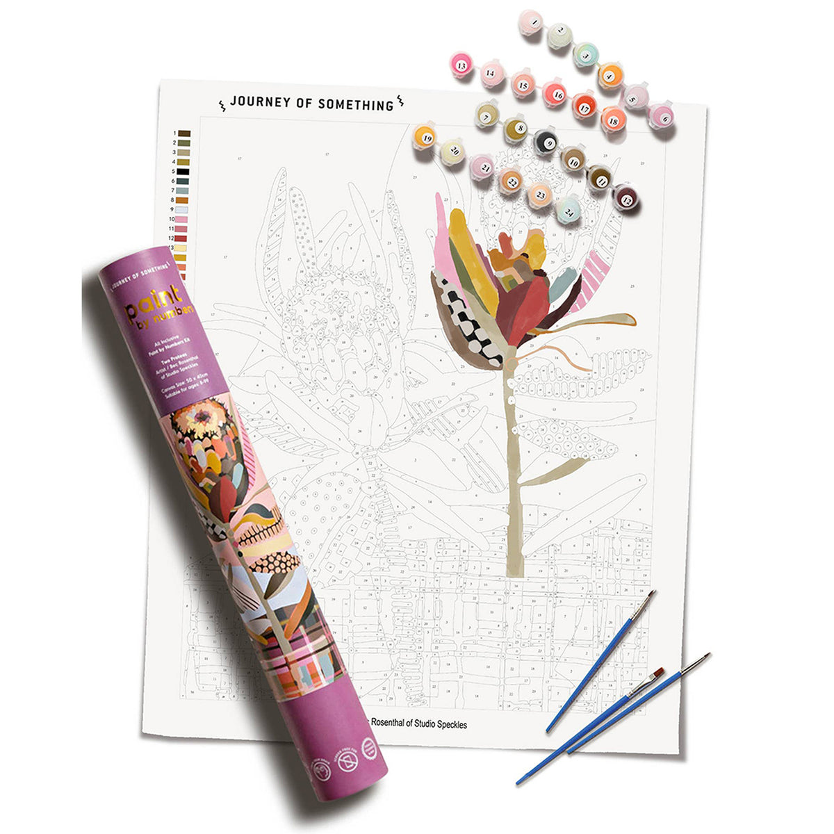 Paint by Numbers Two Proteas