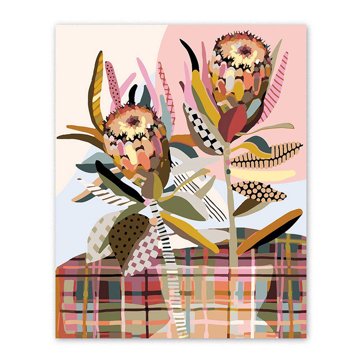 Paint by Numbers Two Proteas