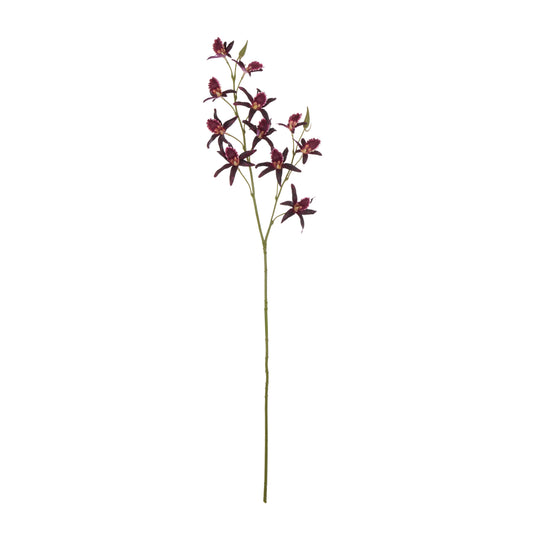 Dendrobium Spray 92cm