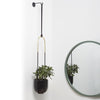 If you’re seeking a sharp and eye-catching planter, Bolo may be the ideal item for you thanks to its round, soft curves, and sharp black and brass finishes. This easy to hang planter mounts in just minutes, and can be hung on the ceiling or wall.  Versatile Wall Decor: Bolo's simplistic yet eye-catching design will add a layer of dimension to your decor. It can be ceiling or wall-mounted for a higher or lower profile  Attractive And Modern Design: With its simple design bolo is the modern answer to the trad