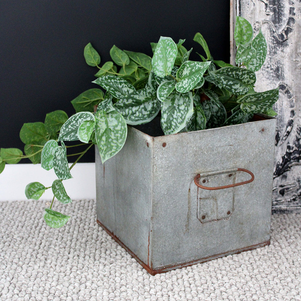 Lovely vintage iron box make great planters for lavender or herbs.  Alternatively, fill with summer colour using fresh blooms and twigs and place in your entrance way to create something beautiful and inviting.  These can be used outside however they will age and some surface rust may occur over time. This can be minimized by spraying with a product like Penetrol.  Handmade from recycled iron.  Size: 25cm(W) x 25cm(D) x 49cm (H)