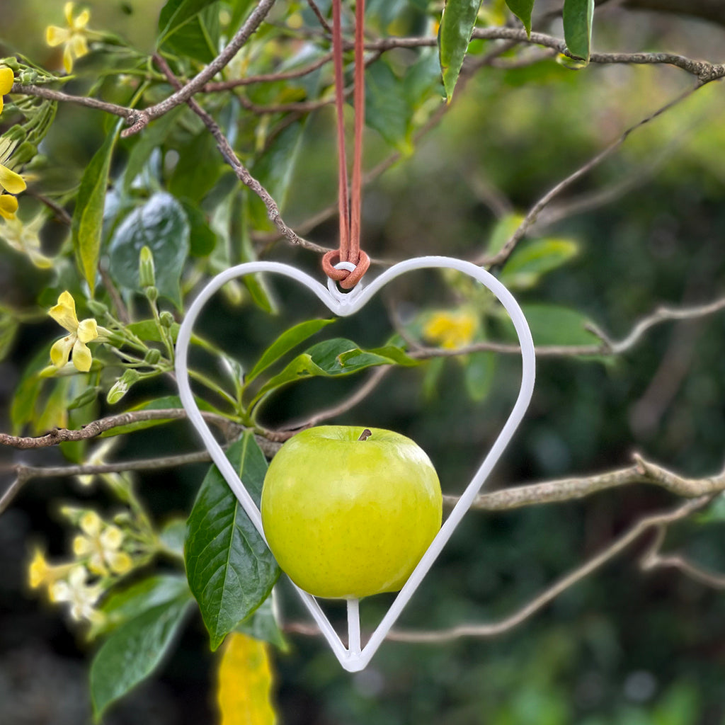 Garden birds love a juicy apple, and this destinctive feeder serves it in style!  Simply place some fruit on the spike and suspend the feeder from the tree. It makes a charming addition to your garden and our feathered friendds will soon learn to pop in to enjoy the goodies on offer.  Details: Powder coated galvanized steel Leather hanging cord 17x17cm