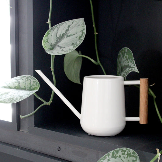 Indoor Watering Can w/Wood Handle