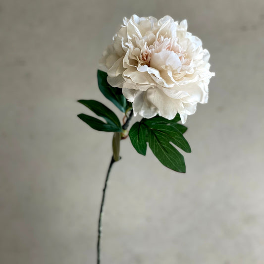 Layered Peony Spray 63cm Cream