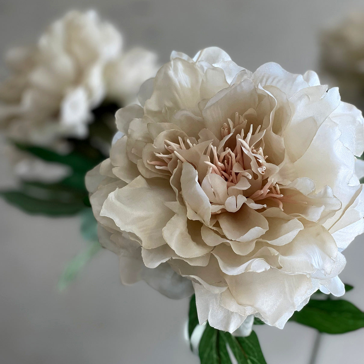 Layered Peony Spray 63cm Cream