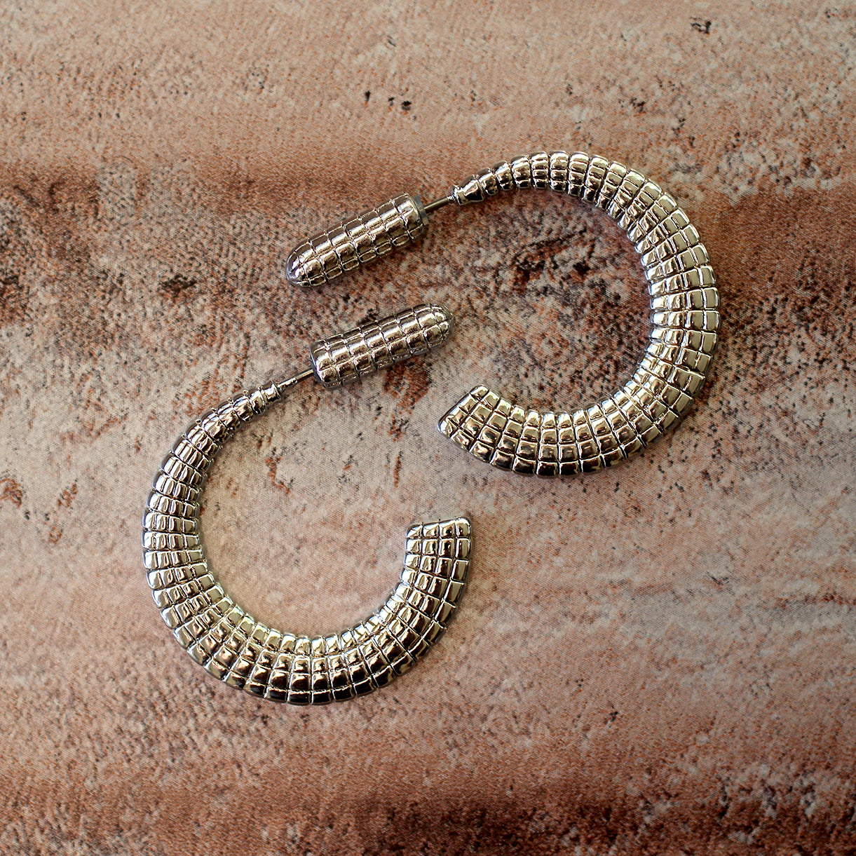 Snake Curl Fashion Earrings