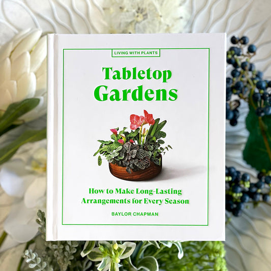 Tabletop Gardens