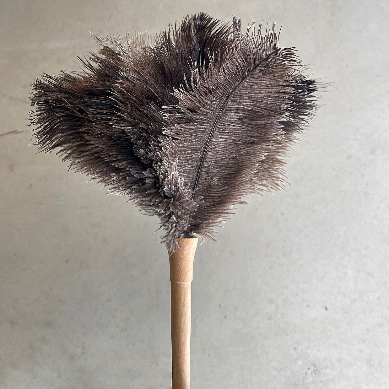 Feather Duster